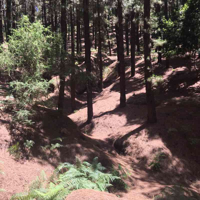 Hike to the mountain summit walking route map in Villa de Mazo