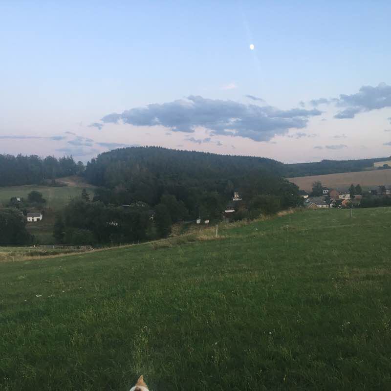 Kleine Waldrunde