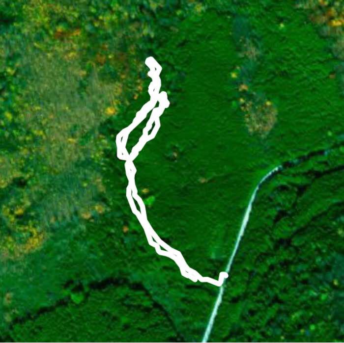 Pretty River trail, Bruce Trail guide