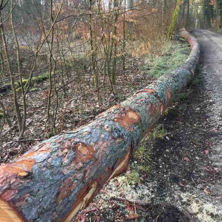Forsthaus walking route map in Schaffhausen