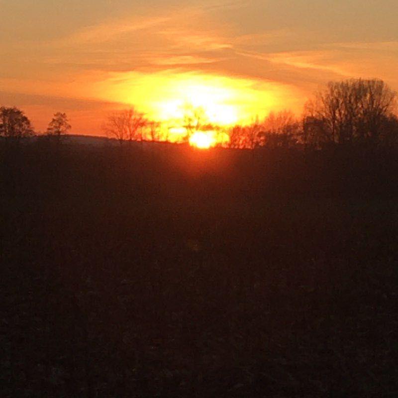 Around BALSCHWILLER through fields and forest walking route map in Eglingen