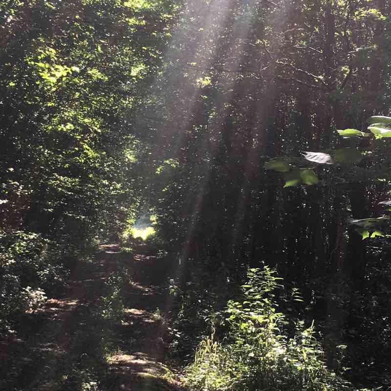 Pleasant walk walking route map in Balschwiller