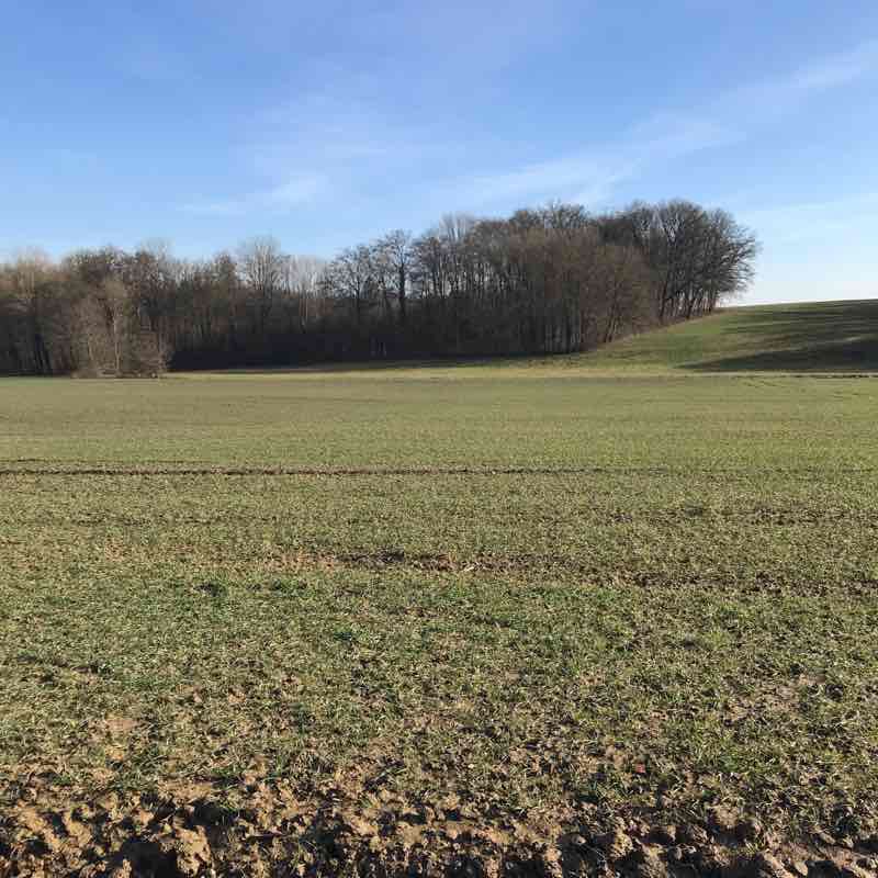 Barrier path walking route map in Balschwiller