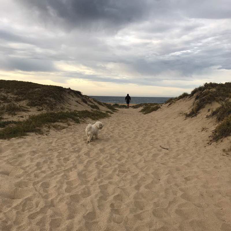 At the photo walking route map in Todos Santos