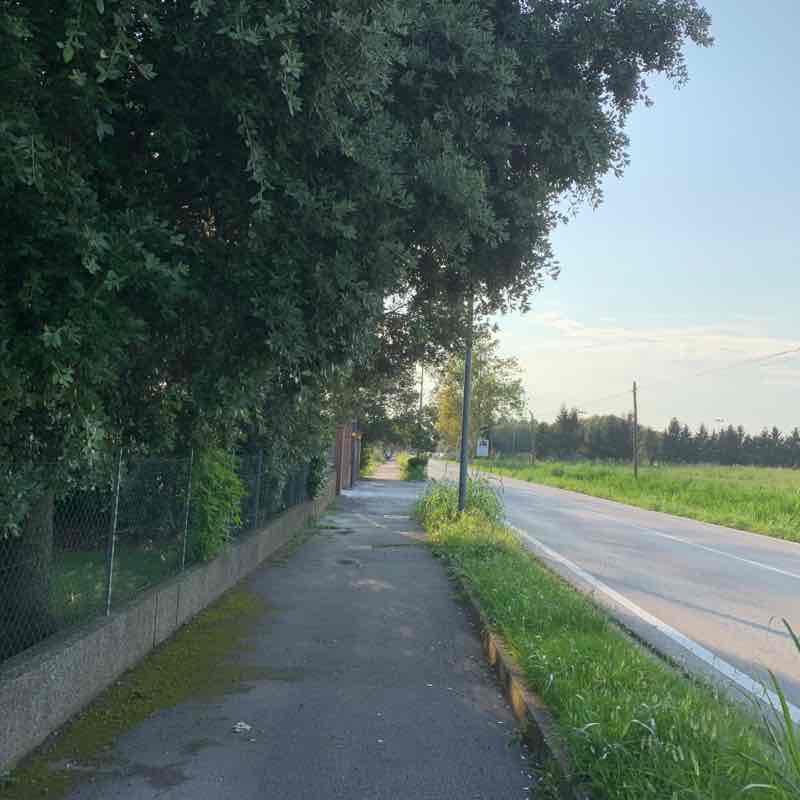 Cross field walking route map in Boschetta