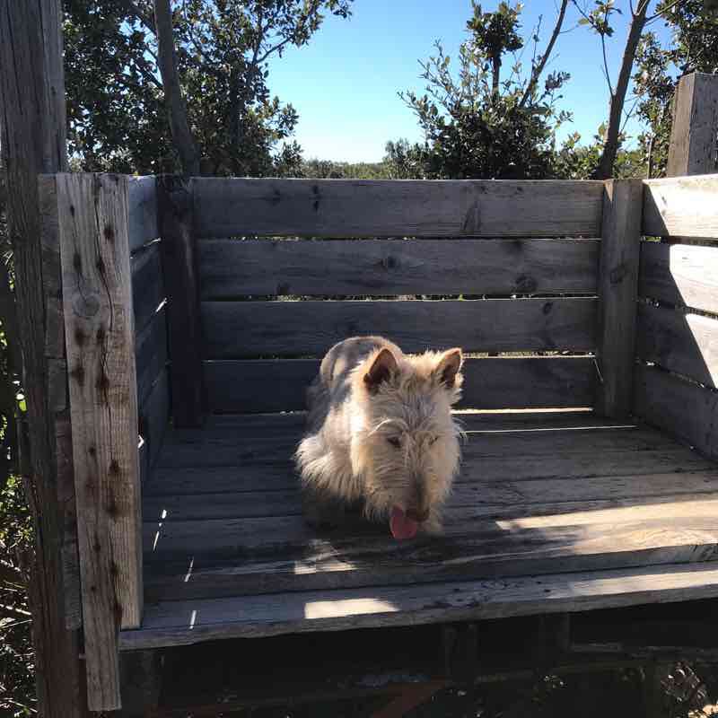Career walking route map in Combaillaux