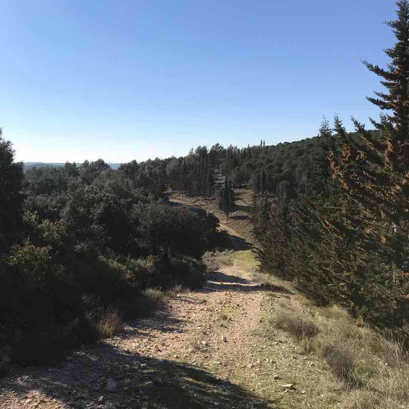 Hiking ST gely walking route map in Combaillaux