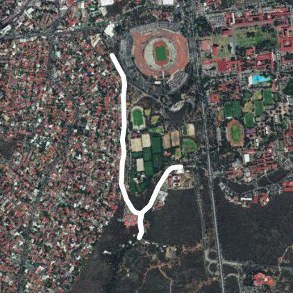 al jsrdin botanico unam