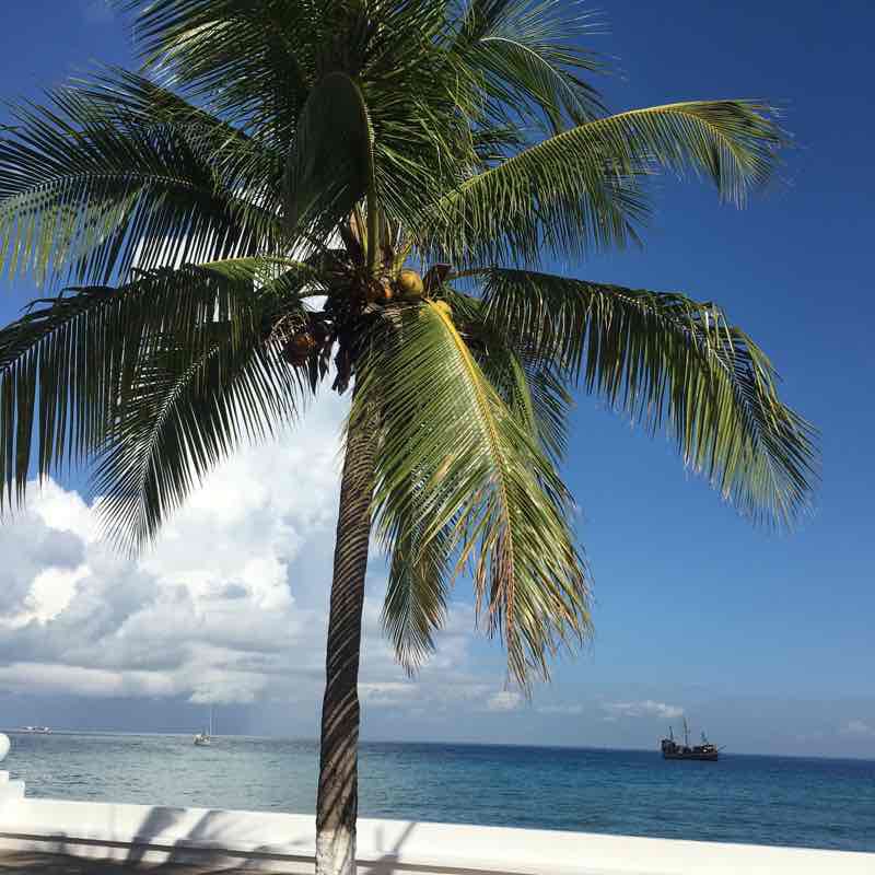Cozumel seaside easy walk walking route map in San Miguel de Cozumel