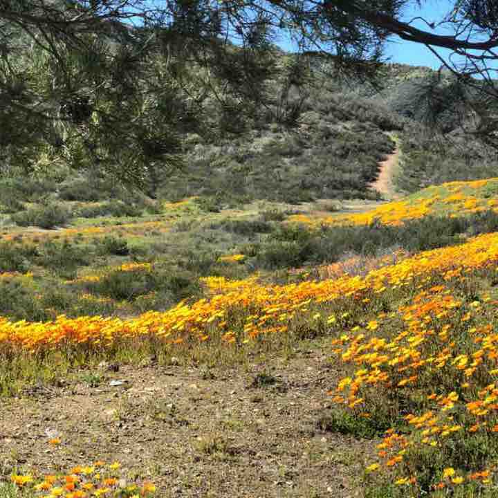 Serenity Walk Trail Murrieta, California, USA Pacer