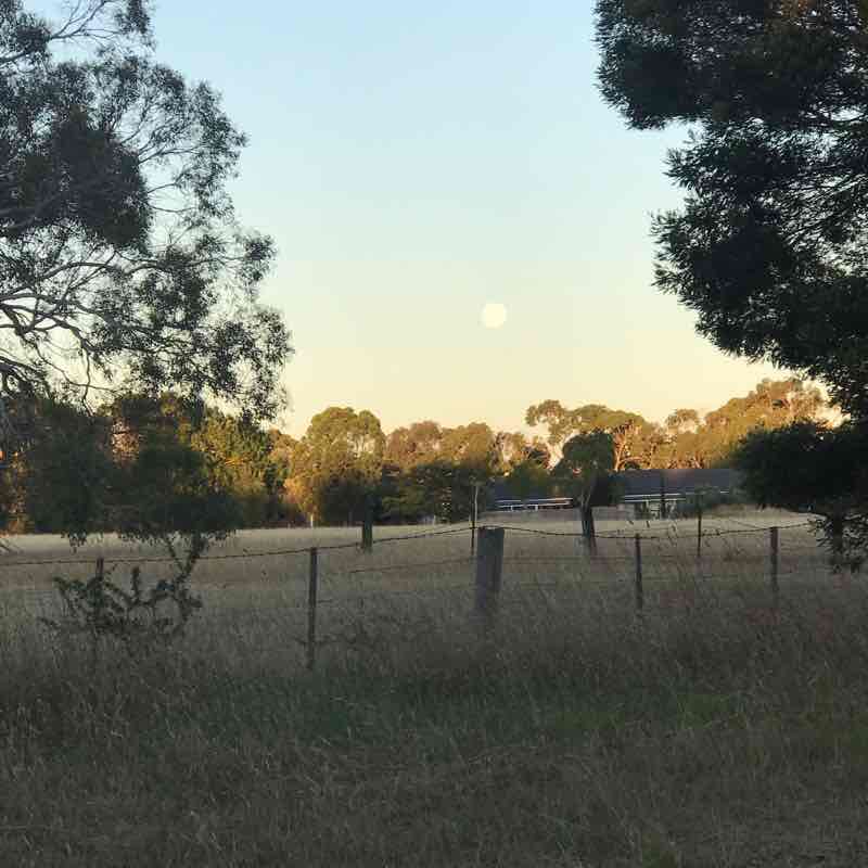 Back of golf course walking route map in Hamilton