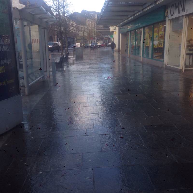 River Leven Walk Trail Dumbarton, Scotland Pacer