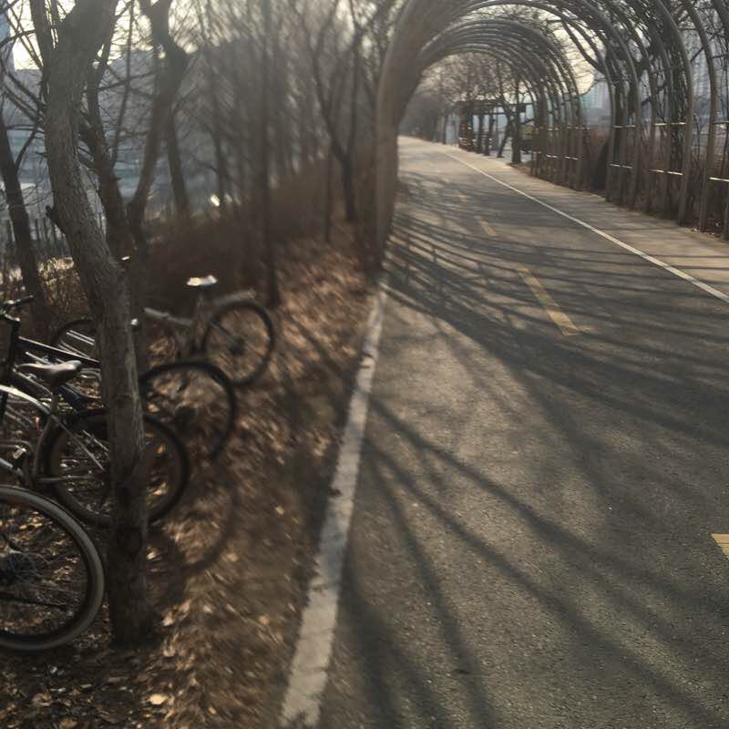 안양천에서 한가ㅇ