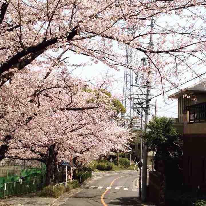 千種区～名東区