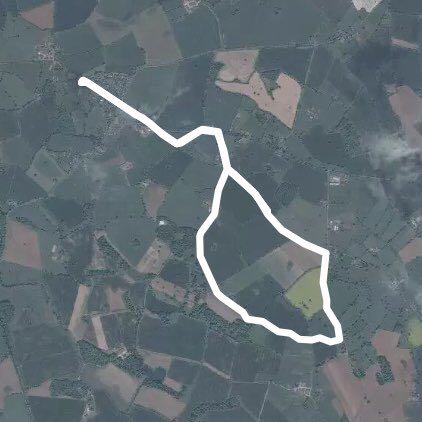 Lodge Lane and beyond