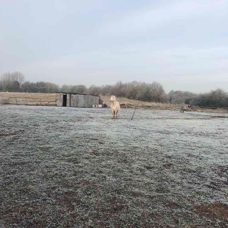Newport & Chetwynd walking route map in Outwoods