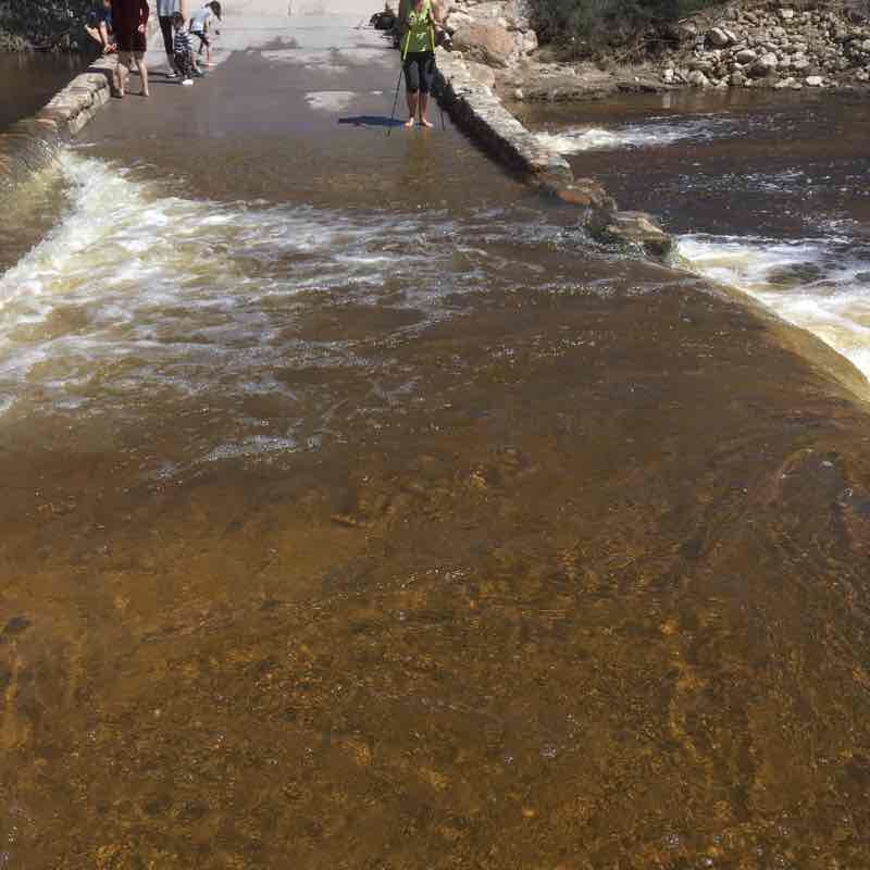Sabino Canyon Seven Falls Trail