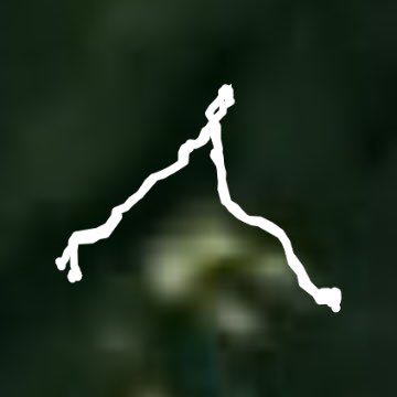 cloudland canyon lookout trail