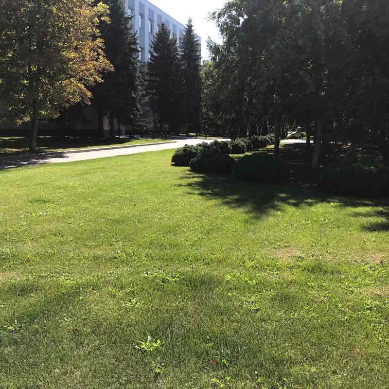 Прогулка в перерыв