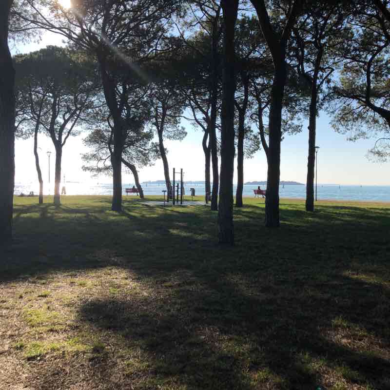 Venice Waterfront Run