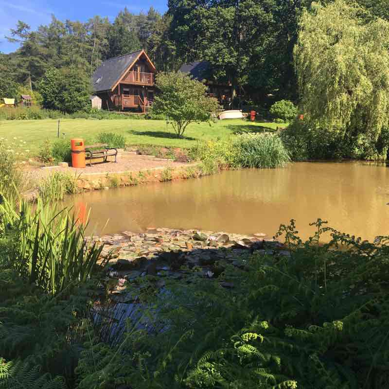 South Combe Water walking route map in Sheldon