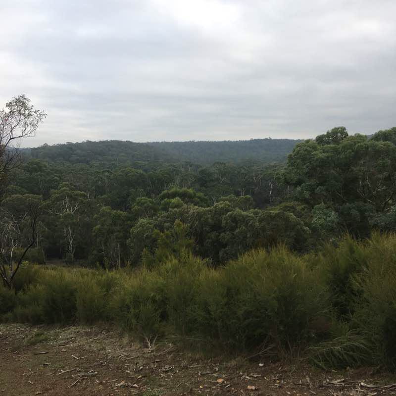 Mt Lofty walking route map in Bend of Islands
