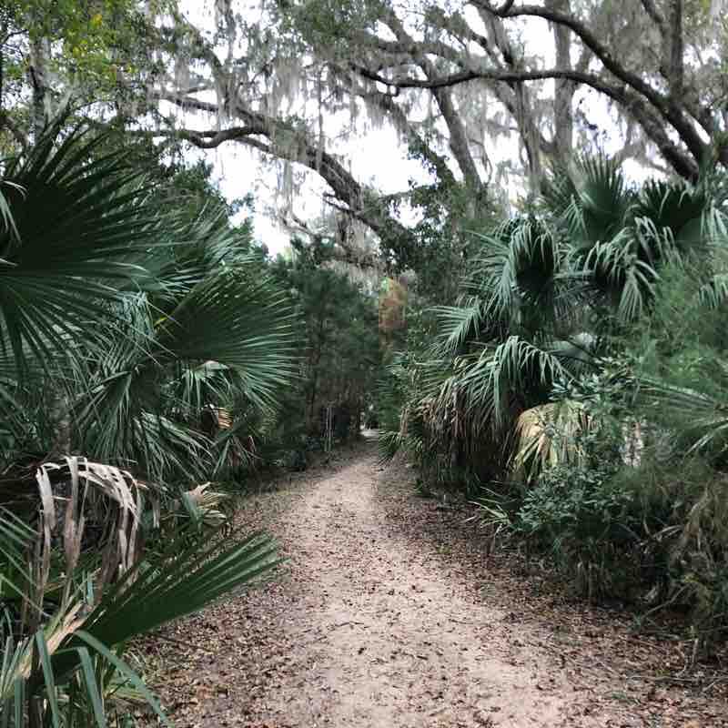 Silver Glen, Fl walking route map in Yellow Bluff