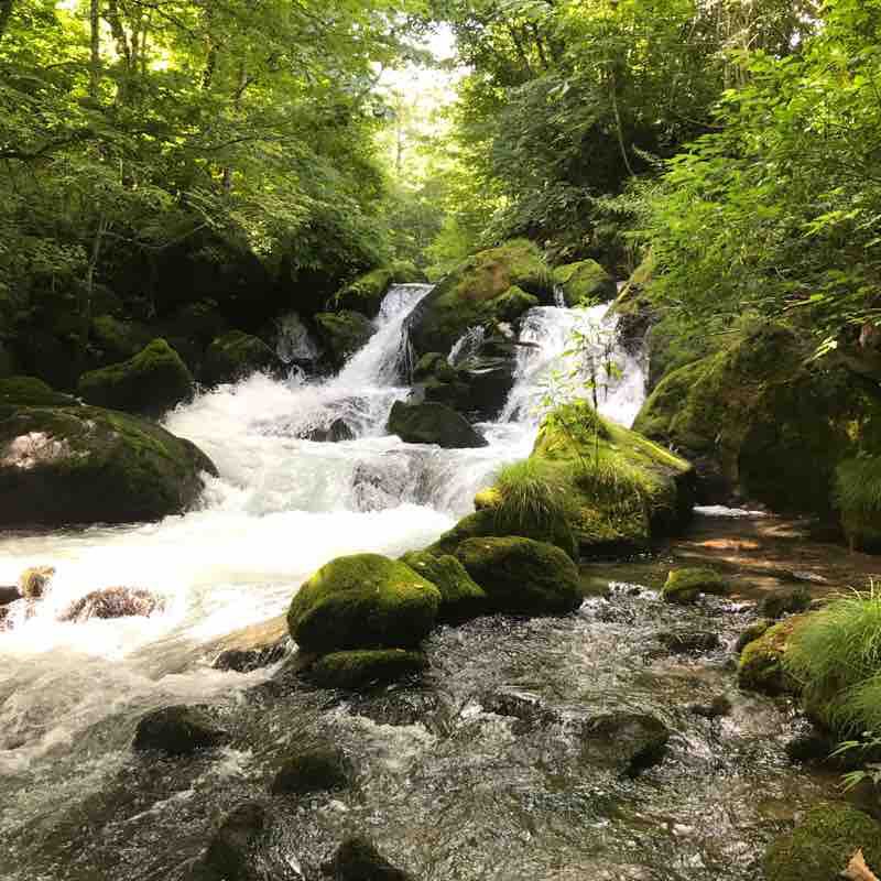 Oirase Trail, Aomori Prefecture, Japan walking route map in Towada