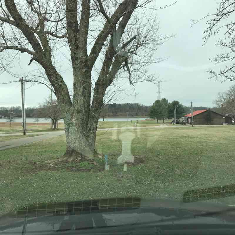 Winchester city park Walk Tennessee, USA Pacer