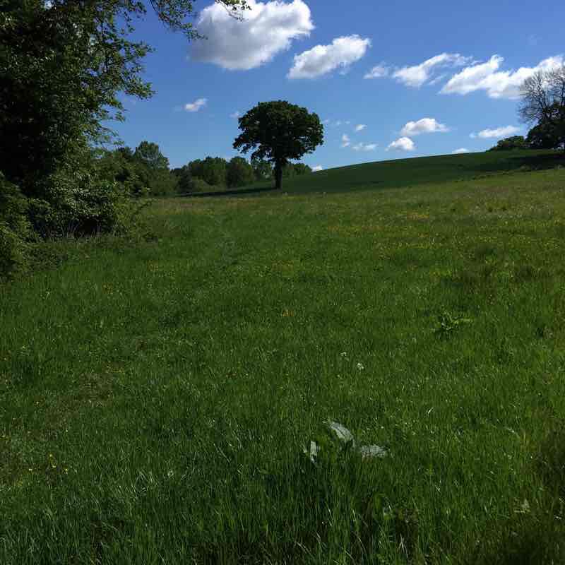  Collier Wood, Greasley walking route map in Newthorpe