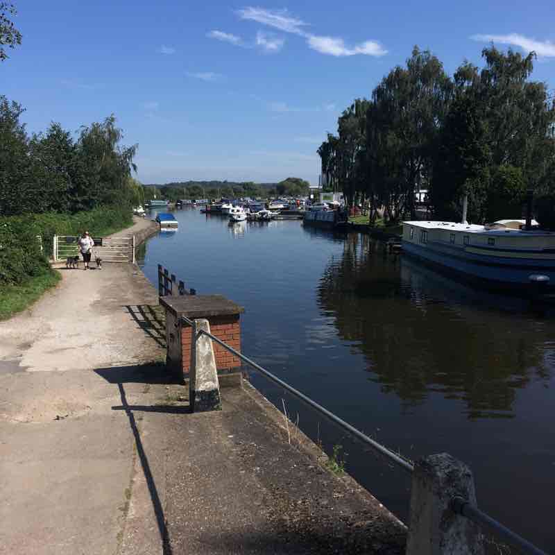 Attenborough Nature Reserve to Sawley Marina Rtn