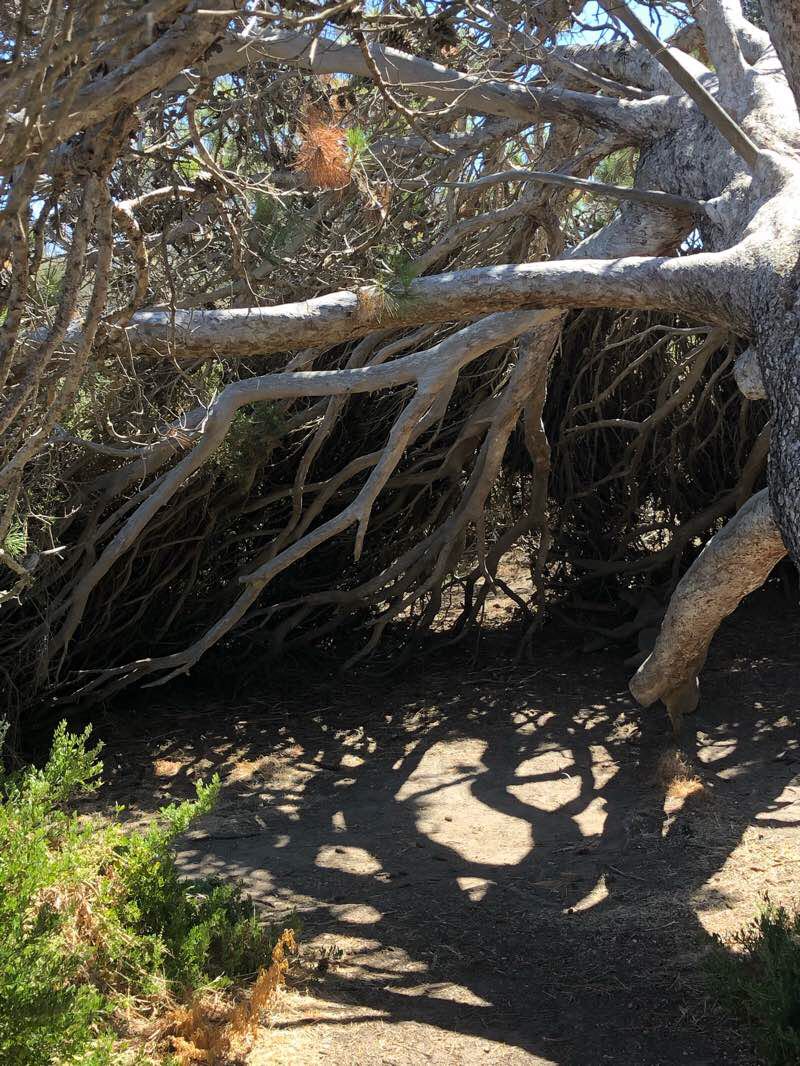 walking near me in Granite Island Recreation Park in summer