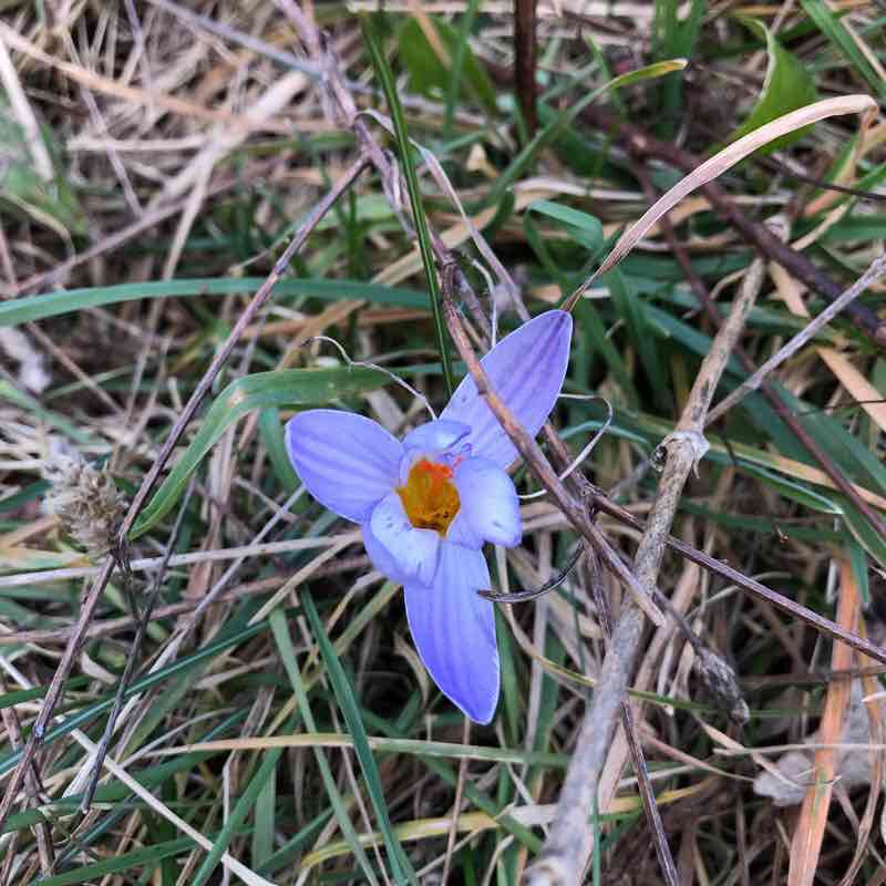 Sunday walk walking route map in Sorano