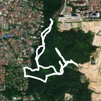 Bukit gasing trail 2