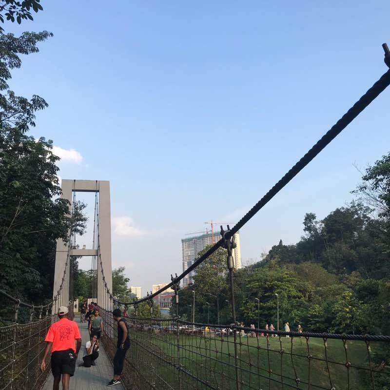 Bukit Gasing medium walk