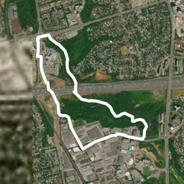 betty sutherland trail south