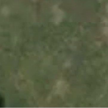 Спортивная база Лесная