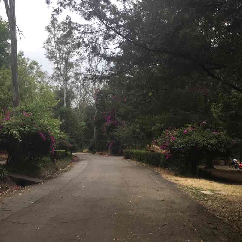 Parque Nacional, Bosque de Tlalpan 