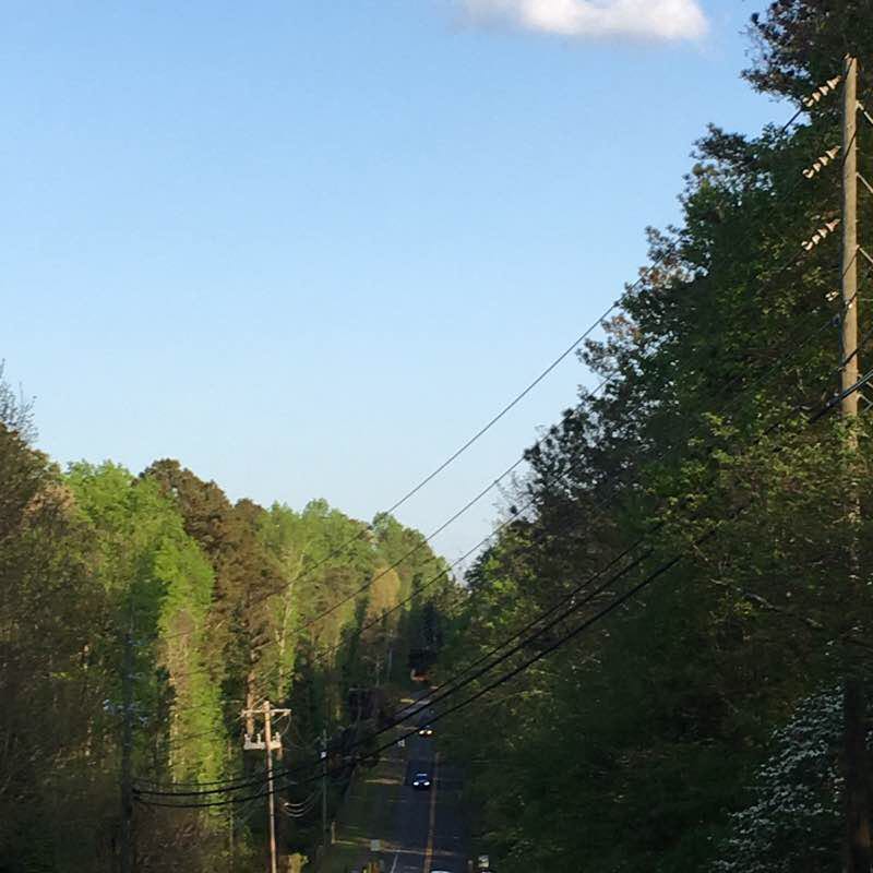 A walk in the neighborhood 