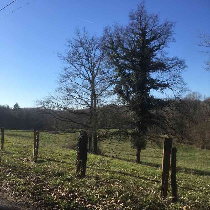 The louis wood walking route map in Boissy-le-Châtel
