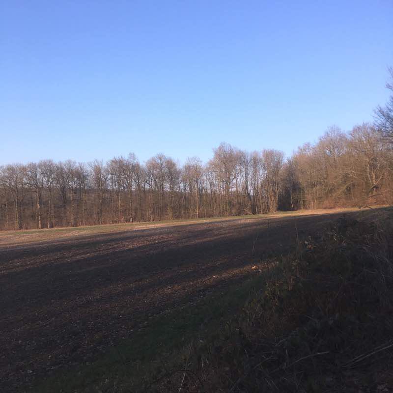 Speuse Mill of Avenelles walking route map in Boissy-le-Châtel