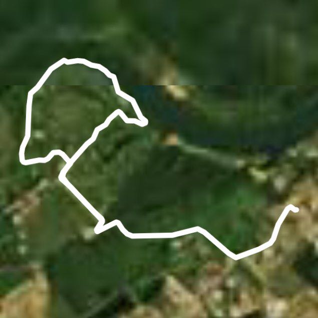 Rose garden park walking route map in Châtenoy-en-Bresse