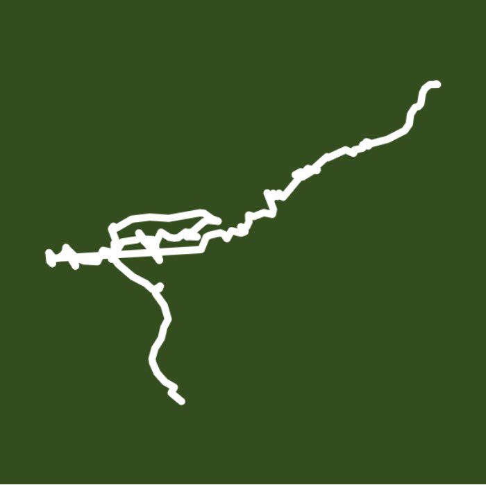 Watkins Glen State Park 3rd Jun 2019 @ 4pm NYC local Time.