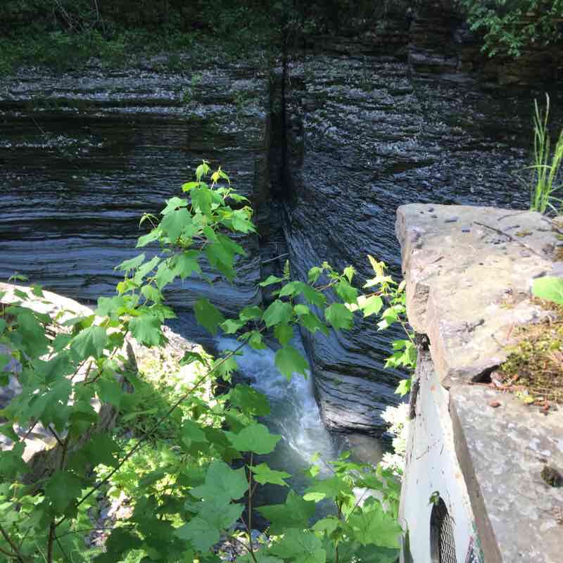 Watkins Glen State Park 3rd Jun 2019 @ 4pm NYC local Time. walking route map in Montour Falls