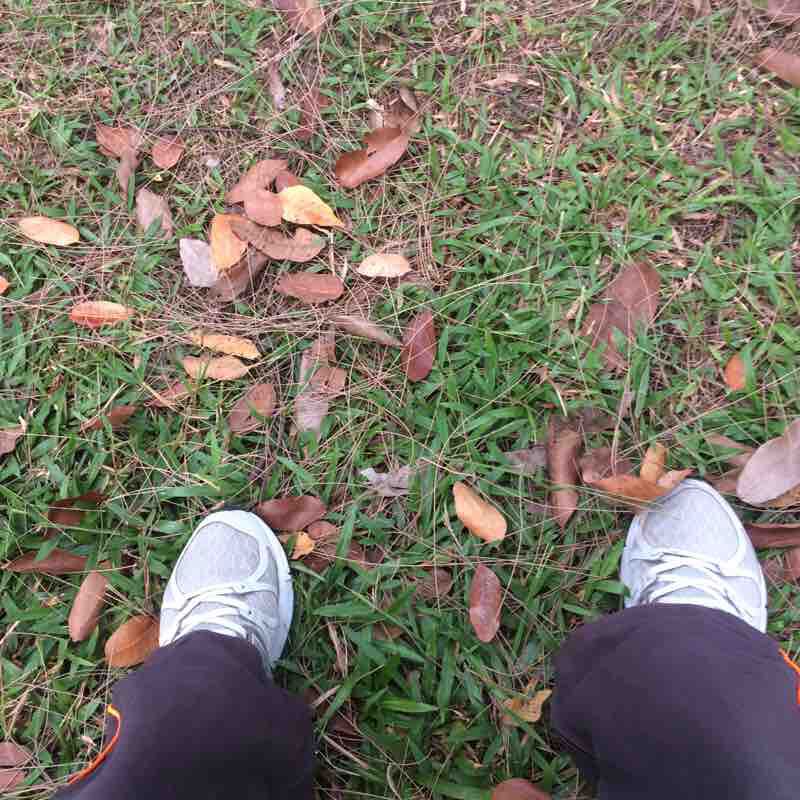 Beautiful Rainbow Lake Park walking route map in Ulu Tiram