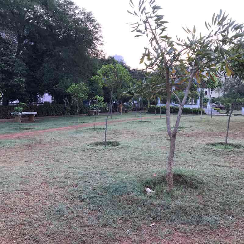 Kphb 9 phase park Walk Kukatpally, Hyderabad, India Pacer