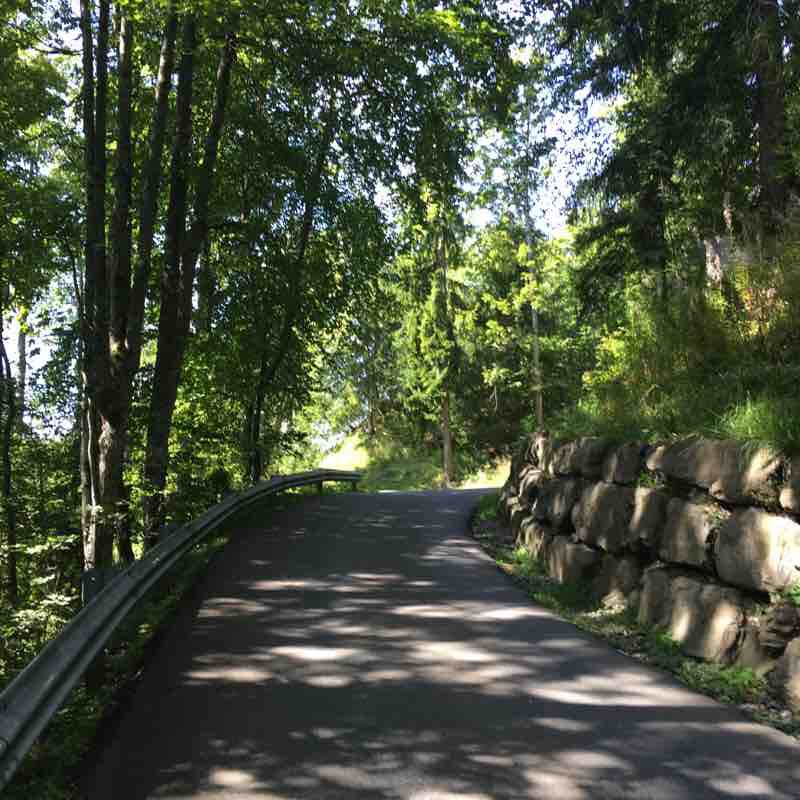 Les Ecovets par Chesières pré fleuri