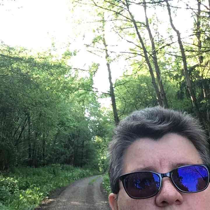 Ottweiler forest walking route map in Ottweiler