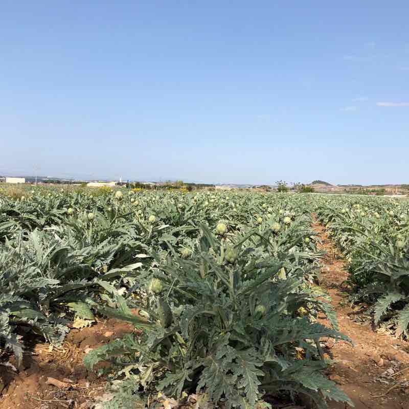 Javierada Departures walking route map in Cabanillas