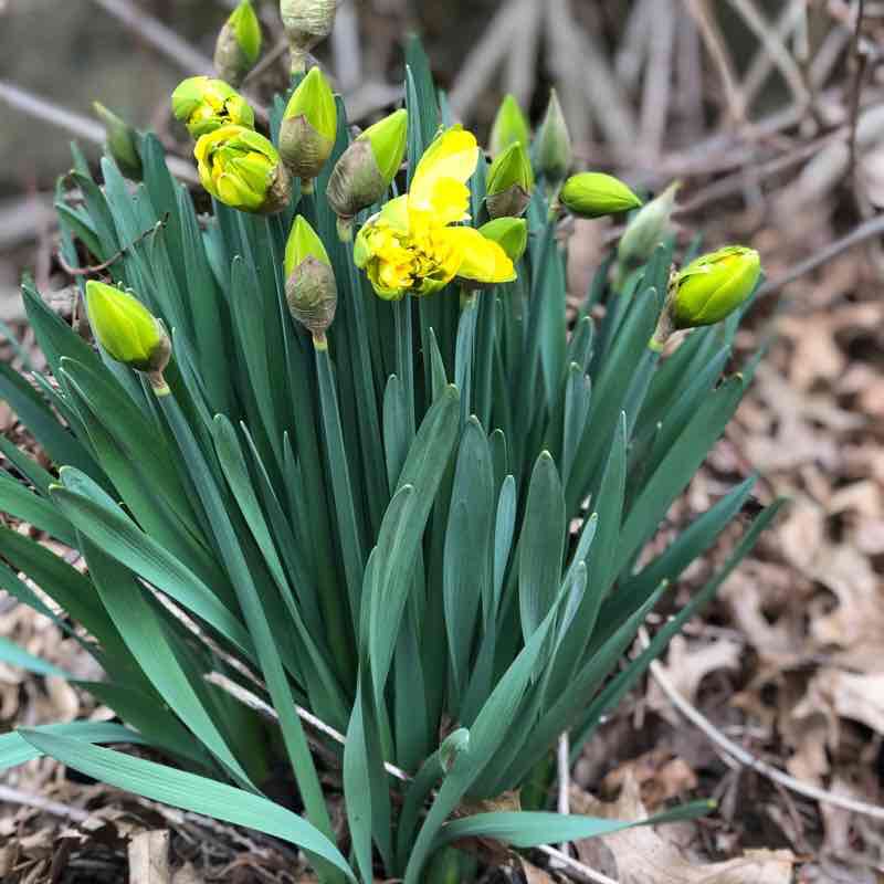 Quail hallow  walking route map in Hartville